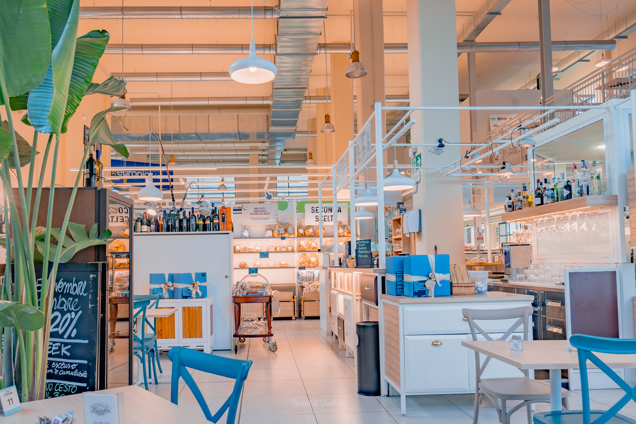 Grondona_genova_thescientiststudios--12
